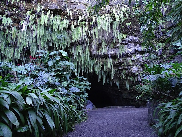 Grotte - Tahiti