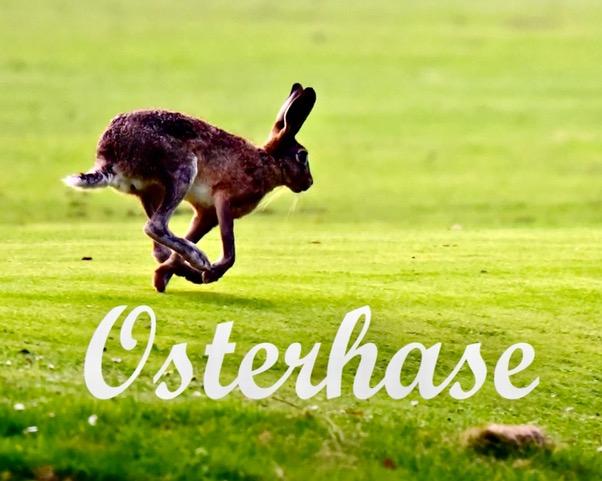 Capture d e cran 2025 04 14 a 08 13 09