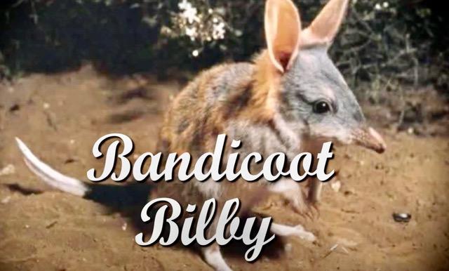 Capture d e cran 2025 04 14 a 08 16 00