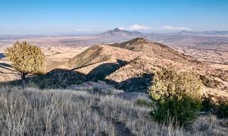 Coronadtrail