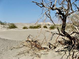 Img 3500