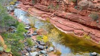 Oak creek