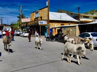 Oatman