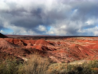 Petrified forest national park 8 1356115