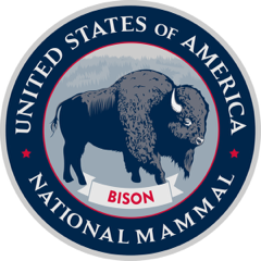 Usa bison